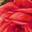 Предпросмотр схемы вышивки «Красные розы.» (№2031796)