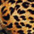 Предпросмотр схемы вышивки «Тигр» (№2037890)
