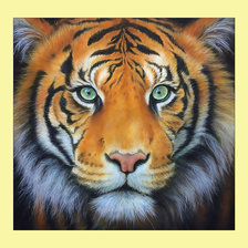 Схема вышивки «Взгляд тигра.»