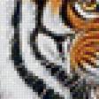Предпросмотр схемы вышивки «Тигр» (№2039244)