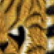 Предпросмотр схемы вышивки «Тигр» (№2039269)