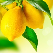 Оригинал схемы вышивки «лимоны» (№2042407)