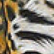 Предпросмотр схемы вышивки «Тигры» (№2043143)