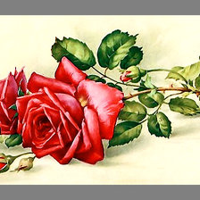 Оригинал схемы вышивки «Серия "Розы".» (№2047151)