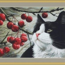 Схема вышивки «Кот и ягоды»