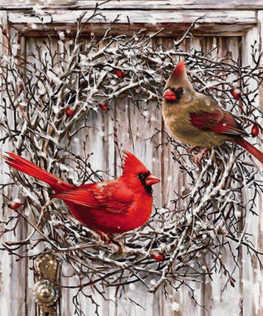 птицы - кардиналы, птицы, зима - предпросмотр