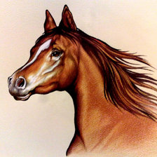 Схема вышивки «Портрет лошади»