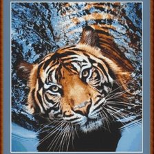 Оригинал схемы вышивки «Тигр» (№2053096)