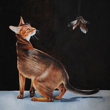 Схема вышивки «Абиссинская кошка и ночная бабочка»