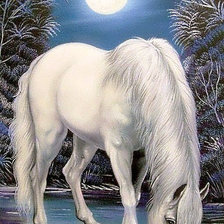 Схема вышивки «Белый конь и полнолуние»