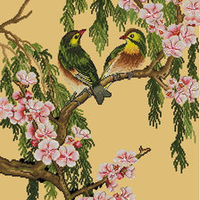 Птицы в цветущей вишне