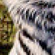 Предпросмотр схемы вышивки «белые тигры» (№2062083)