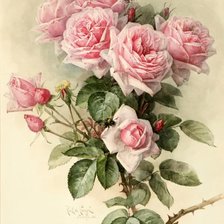 Оригинал схемы вышивки «Розы» (№2064149)