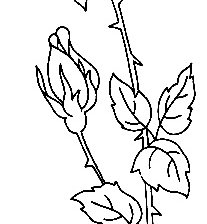 Схема вышивки «Контурная роза»