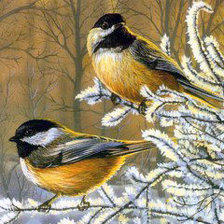 Птички в лесу зимой