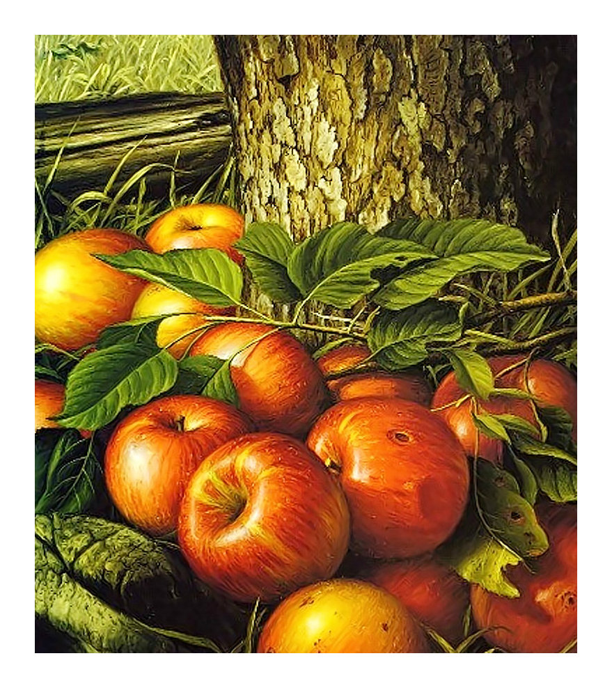 Яблочки. - дерево, яблоки, фрукты, живопись, плоды - оригинал