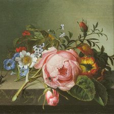Схема вышивки «Роза на столе. Корнелис Ван Спаендорк»