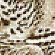 Предпросмотр схемы вышивки «Леопарды.» (№2087393)