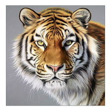 Оригинал схемы вышивки «Тигр. Взгляд.» (№2087411)