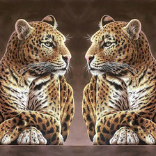 Схема вышивки «Леопард.»
