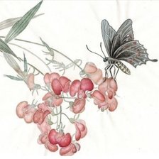 Оригинал схемы вышивки «Бабочка. Японская живопись» (№2100782)