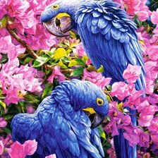 Оригинал схемы вышивки «Синие попугаи» (№2101047)