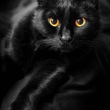 Схема вышивки «Черная кошка»