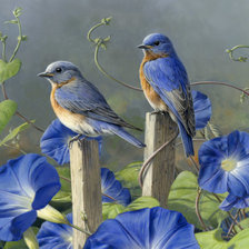 Оригинал схемы вышивки «Синие птички» (№2111942)