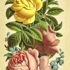 Схема вышивки «Серия "Винтаж". Розы, панелька»