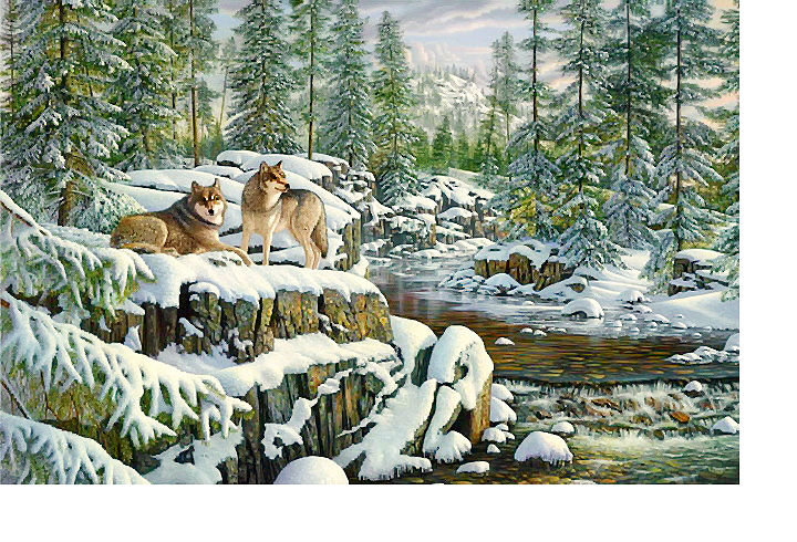 Волки - животные, зимний пейзаж, река, зима - оригинал