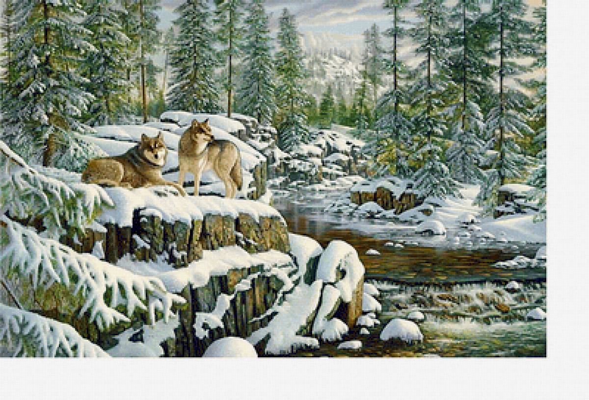 Волки - зима, животные, зимний пейзаж, река - предпросмотр