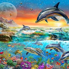 Дельфины в закате
