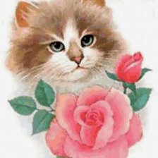 Схема вышивки «кошка и роза»
