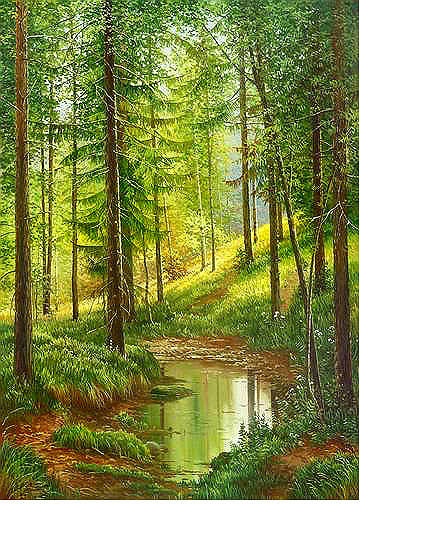 Лесной ручей - лето, лес, природа, пейзаж - оригинал