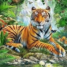 Tigre, na selva.