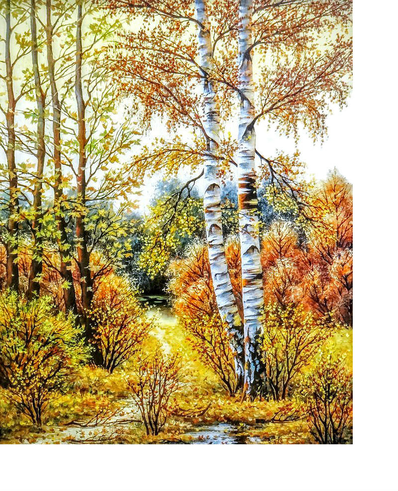 Осенний пейзаж - осень, лес, березы, река - оригинал