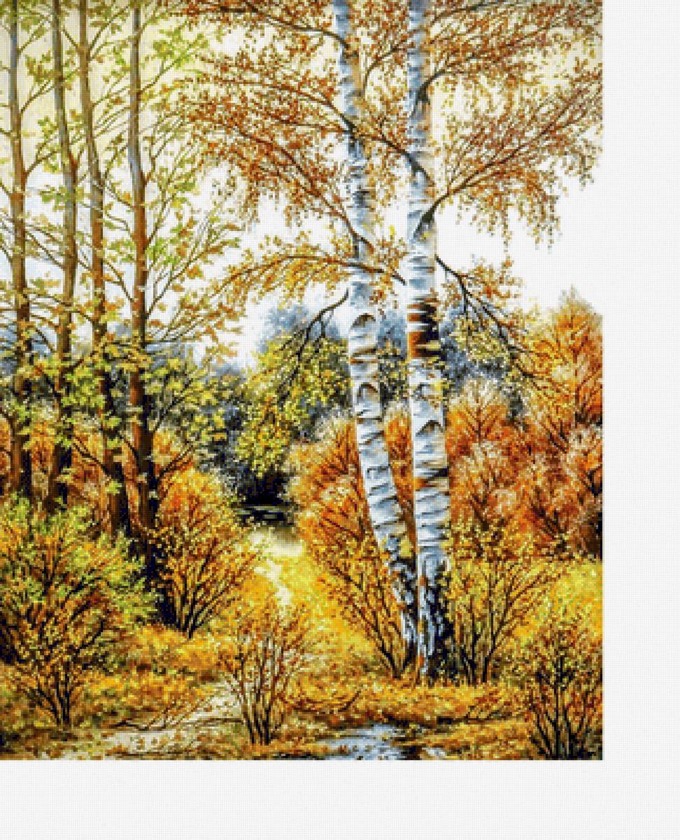 Осенний пейзаж - лес, осень, березы, река - предпросмотр