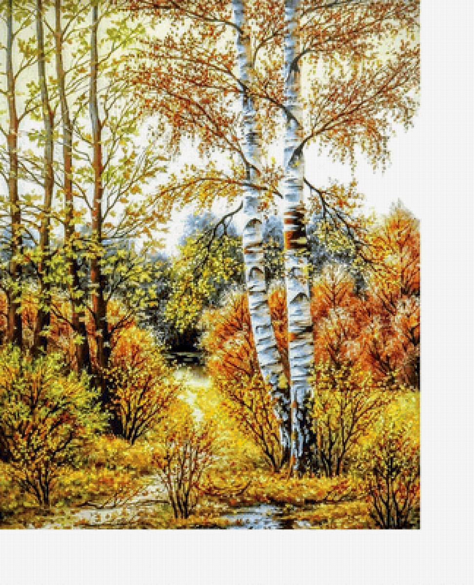Осенний пейзаж - березы, осень, река, лес - предпросмотр