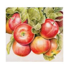 Оригинал схемы вышивки «Яблочки» (№2139403)