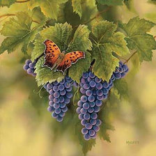 Схема вышивки «Бабочка и виноград»