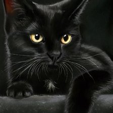 Оригинал схемы вышивки «черный кот» (№2152129)