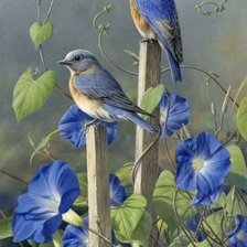 Синие птицы и цветы