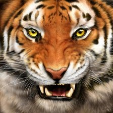 Тигр рычащий