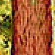 Предпросмотр схемы вышивки «Дубовая роща» (№2165852)