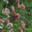 Предпросмотр схемы вышивки «Розовый сад, Баден-Баден, Германия» (№2171213)