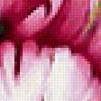 Предпросмотр схемы вышивки «Серия "Тюльпаны"» (№2172296)