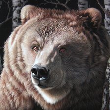 Схема вышивки «медведь»