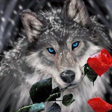 Схема вышивки «Волк и роза»