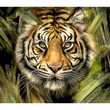 Оригинал схемы вышивки «Тигр. Живопись.» (№2183899)