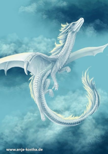 Белый дракон - белый, дракон, небо, полет, фэнтази - оригинал